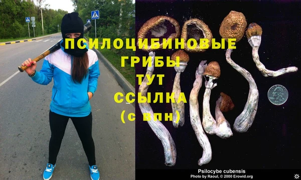 МДПВ Балабаново