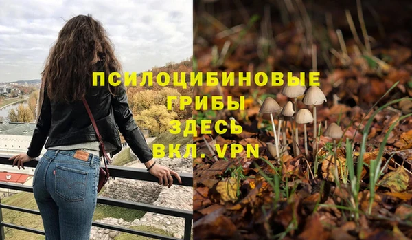 а пвп мука Балахна