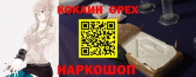 крисы Кулебаки