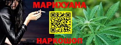 крисы Кулебаки