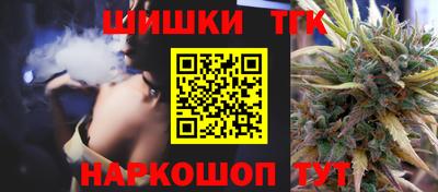 крисы Кулебаки