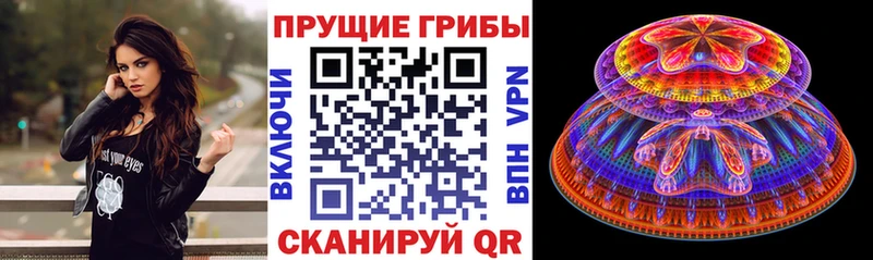 Псилоцибиновые грибы Psilocybine cubensis  Балахна 