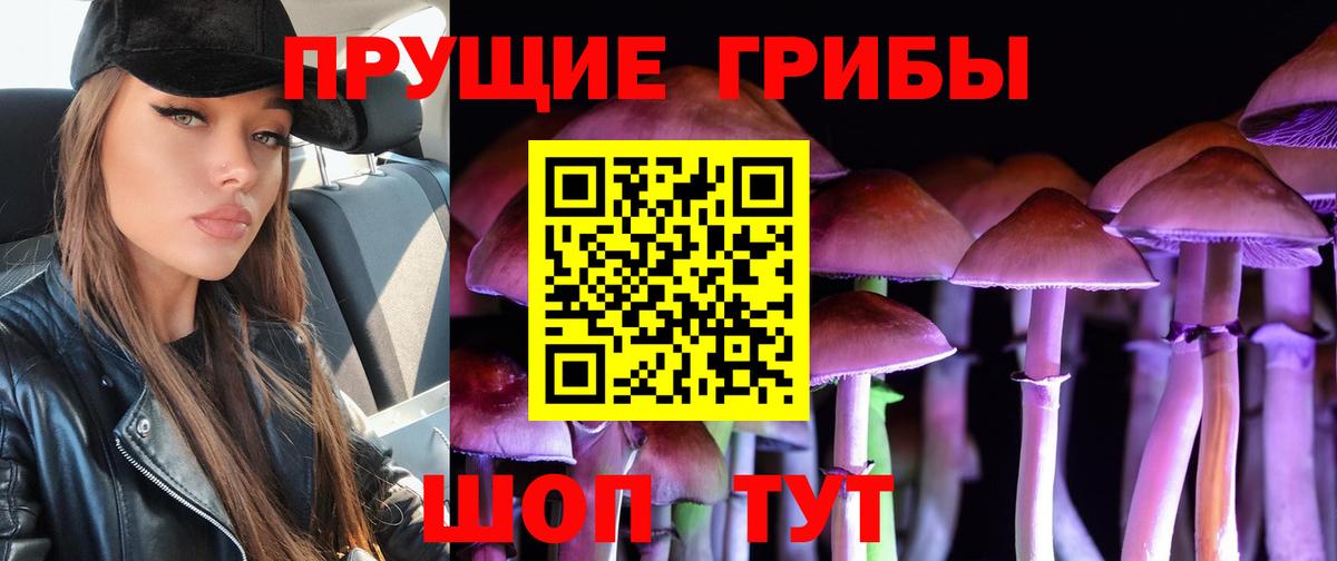 Галлюциногенные грибы Magic Shrooms  Вход с VPN  Балахна 